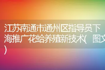 江苏南通市通州区指导员下海推广花蛤养殖新技术(图文)