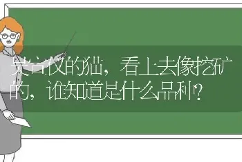 吴宣仪的猫，看上去像挖矿的，谁知道是什么品种？