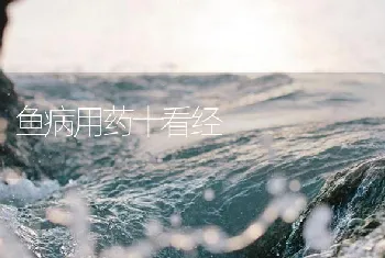 鱼病用药十看经