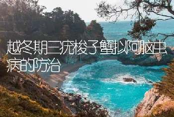 越冬期三疣梭子蟹拟阿脑虫病的防治