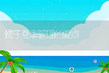 蝎子夏季管理的要点