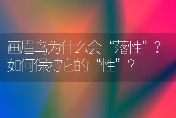 画眉鸟为什么会“落性”?如何保持它的“性”？