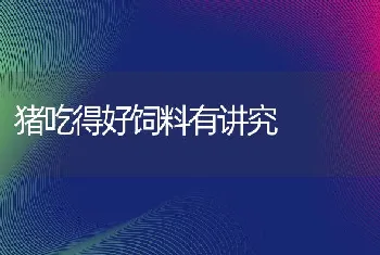 养殖废水处理与生态利用技术(图)