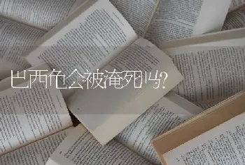 巴西龟会被淹死吗？