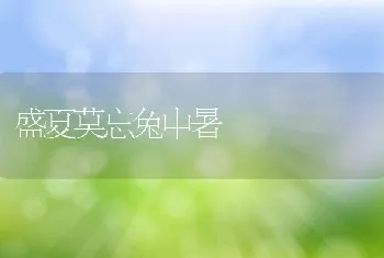 盛夏莫忘兔中暑