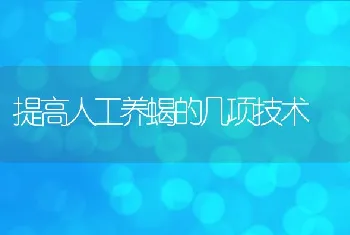 提高人工养蝎的几项技术