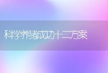 科学养猪成功十二方案