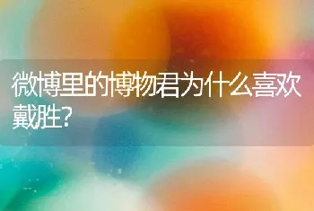 微博里的博物君为什么喜欢戴胜？