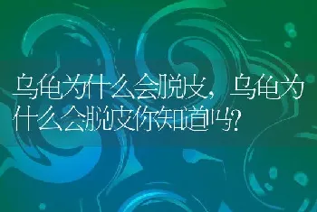 乌龟为什么会脱皮，乌龟为什么会脱皮你知道吗？