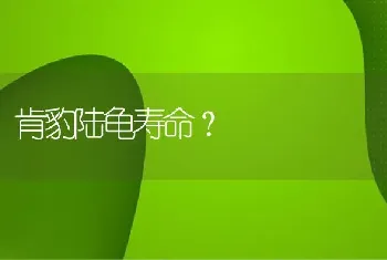 肯豹陆龟寿命？