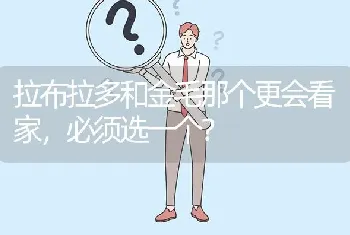 拉布拉多和金毛那个更会看家，必须选一个？