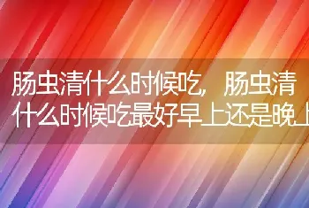 肠虫清什么时候吃，肠虫清什么时候吃最好早上还是晚上