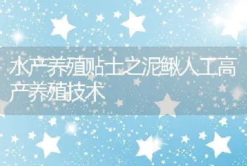 水产养殖贴士之泥鳅人工高产养殖技术