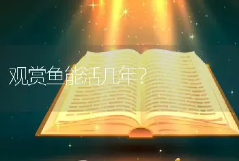 观赏鱼能活几年？