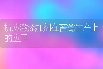 抗应激添加剂在畜禽生产上的应用