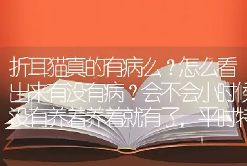 折耳猫真的有病么？怎么看出来有没有病？会不会小时候没有养着养着就有了，平时特别不爱动么？