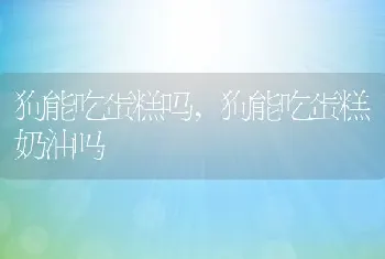 狗能吃蛋糕吗，狗能吃蛋糕奶油吗