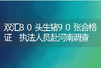 双汇80头生猪90张合格证执法人员赴河南调查