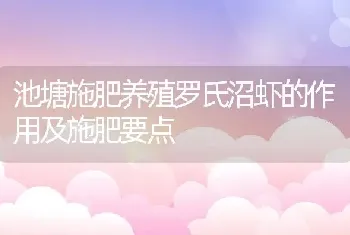 池塘施肥养殖罗氏沼虾的作用及施肥要点