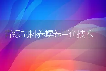 青绿饲料养螺养甲鱼技术