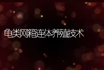 龟类网箱连体养殖技术