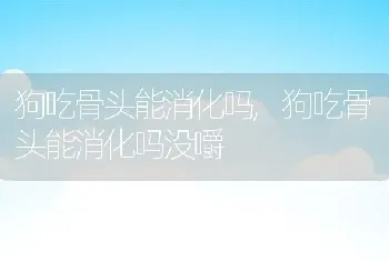 狗吃骨头能消化吗，狗吃骨头能消化吗没嚼