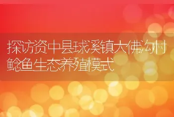 探访资中县球溪镇大佛沟村鲶鱼生态养殖模式