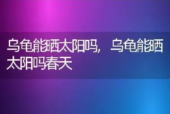 乌龟能晒太阳吗，乌龟能晒太阳吗春天