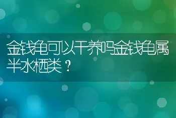 金钱龟可以干养吗金钱龟属半水栖类？