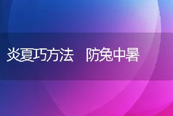 炎夏巧方法防兔中暑