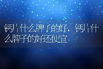 钙片什么牌子的好，钙片什么牌子的好还便宜