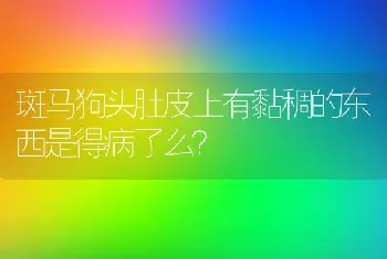 斑马狗头肚皮上有黏稠的东西是得病了么？