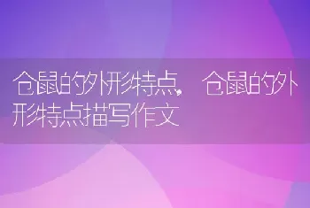 一热身上就刺痒是艾滋，冬天一热身上就刺痒是艾滋