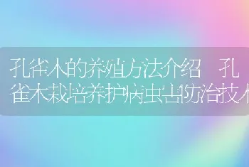 甲鱼养殖户饲料添加自制中草药获三项国家专利