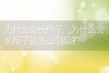 为什么会长疖子，为什么会长疖子是怎么引起的