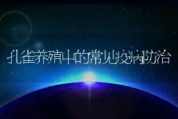 孔雀养殖中的常见疫病防治