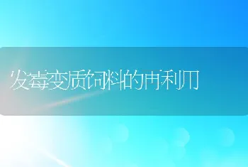 发霉变质饲料的再利用