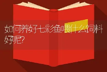 如何养好七彩鱼喂什么饲料好呢？