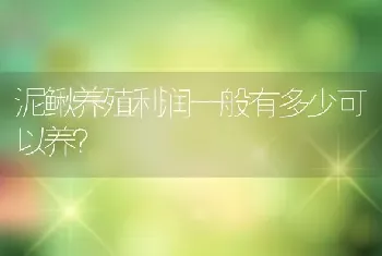 泥鳅养殖利润一般有多少可以养？