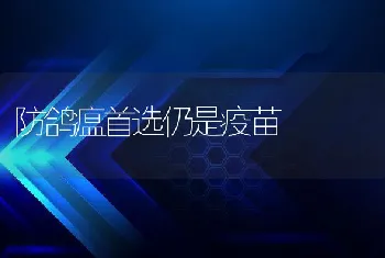 防鸽瘟首选仍是疫苗