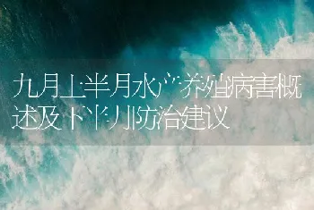 九月上半月水产养殖病害概述及下半月防治建议