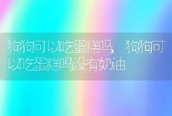 狗狗可以吃蛋糕吗，狗狗可以吃蛋糕吗没有奶油