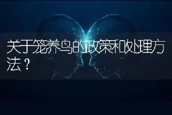 关于笼养鸟的政策和处理方法？