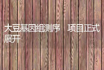 大豆基因组测序项目正式展开