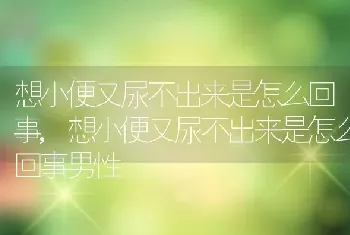 想小便又尿不出来是怎么回事，想小便又尿不出来是怎么回事男性