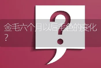 金毛六个月以后毛色的变化？