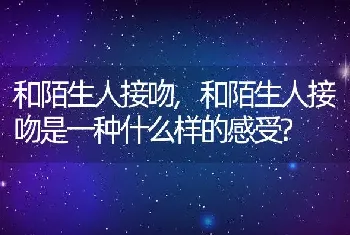 和陌生人接吻，和陌生人接吻是一种什么样的感受？