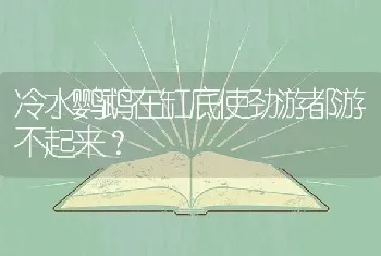 冷水鹦鹉在缸底使劲游都游不起来？