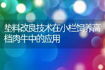 垫料改良技术在小栏饲养高档肉牛中的应用