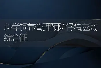 科学饲养管理预防仔猪应激综合征